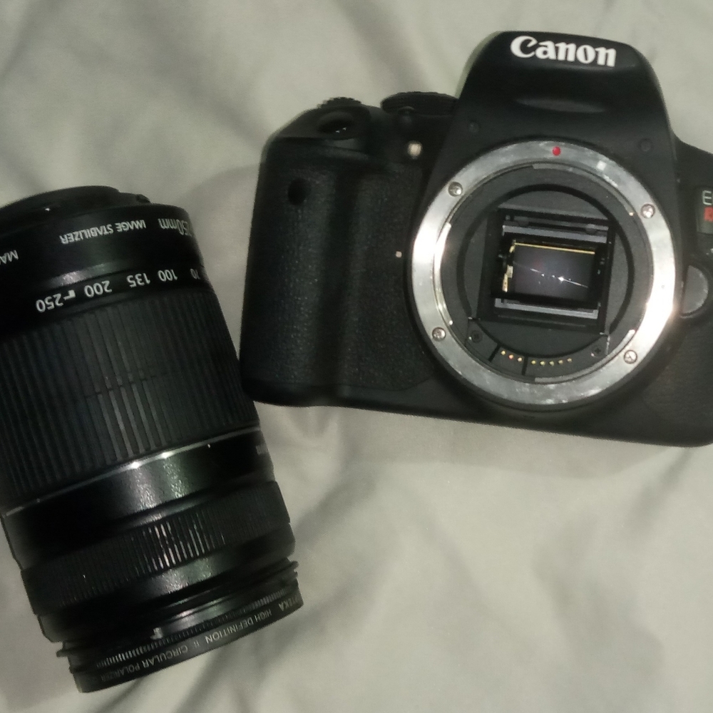 canon efs 55-250mm lens used with Canon EOS Rebel T5i
